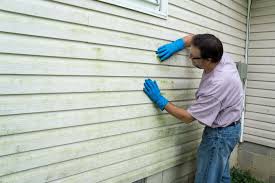 Best Fiber Cement Siding Installation  in East Petersburg, PA